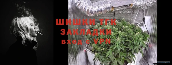 СК Горнозаводск