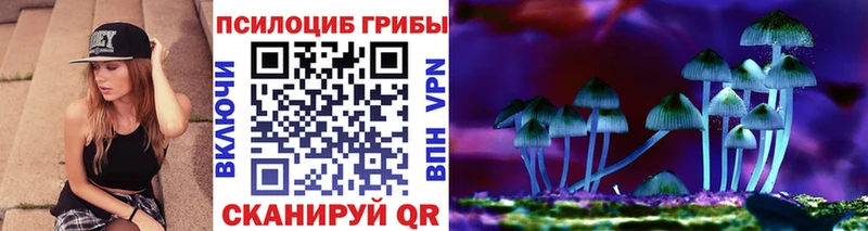 Купить  Клинцы  Галлюциногенные грибы Cubensis 