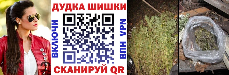 Купить закладки  Клинцы  Шишки марихуана план 
